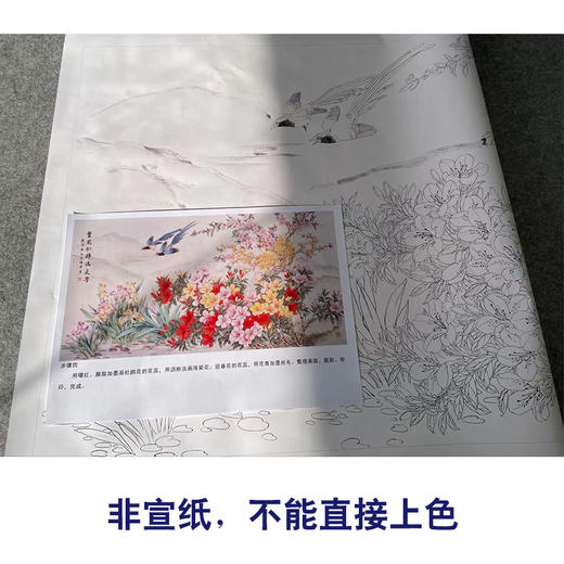 【有步骤】陈军横幅工笔画白描底稿《繁花似锦》蓝鹊杜鹃花初学者临摹花鸟线稿CJ16 商品图2