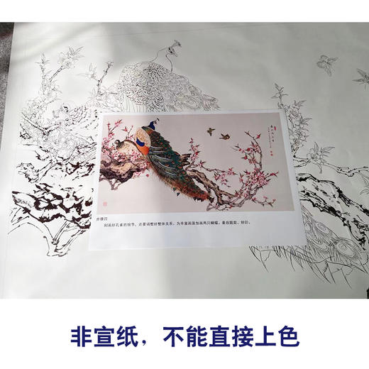 【有步骤】陈军横幅工笔画白描底稿《春风满庭香》桃花树孔雀初学者临摹花鸟线稿CJ30 商品图2