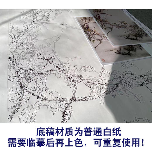 【有步骤】陈军工笔画白描底稿《池塘幽境》初学者临摹勾线花鸟线稿CJ14 商品图3