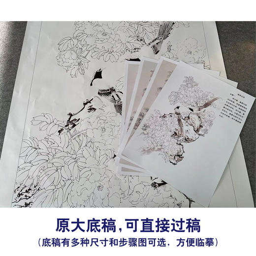 【有步骤】陈军四尺工笔画白描底稿《富贵吉祥》牡丹初学者临摹花鸟线稿CJ07 商品图1