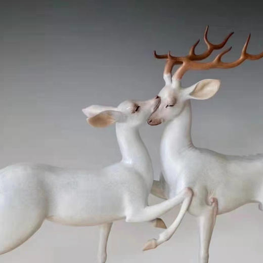 琴瑟和鸣/王大朋 商品图1