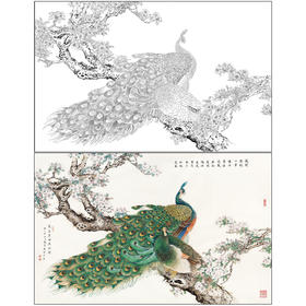 【有步骤】陈军横幅工笔画白描底稿《繁华翠羽春满园》孔雀海棠花初学者临摹花鸟线稿CJ37