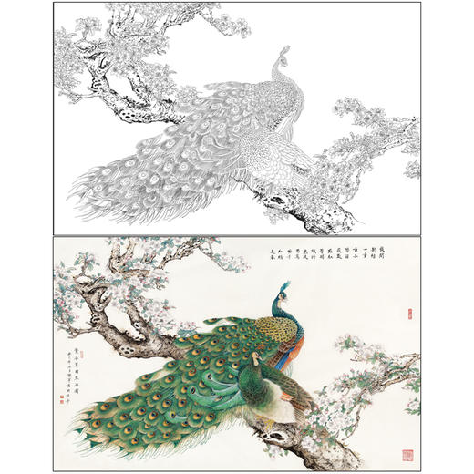 【有步骤】陈军横幅工笔画白描底稿《繁华翠羽春满园》孔雀海棠花初学者临摹花鸟线稿CJ37 商品图0