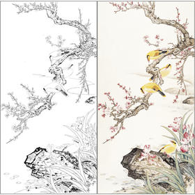 【有步骤】陈军工笔画白描底稿《繁花枝头闹春意》梅花黄鹂初学者临摹花鸟线稿CJ06