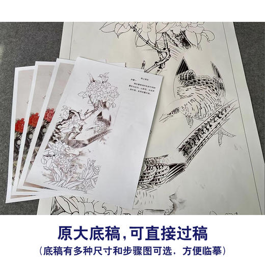 【有步骤】陈军工笔画白描底稿《锦上添花》山茶花水仙花锦鸡初学者临摹花鸟线稿CJ09 商品图1