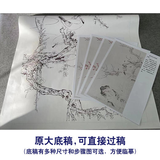 【有步骤】陈军工笔画白描底稿《繁花枝头闹春意》梅花黄鹂初学者临摹花鸟线稿CJ06 商品图1