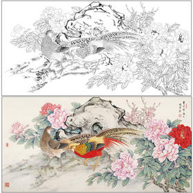 【有步骤】陈军四尺横幅工笔画白描底稿《红花锦羽》锦鸡牡丹初学者临摹花鸟线稿CJ22