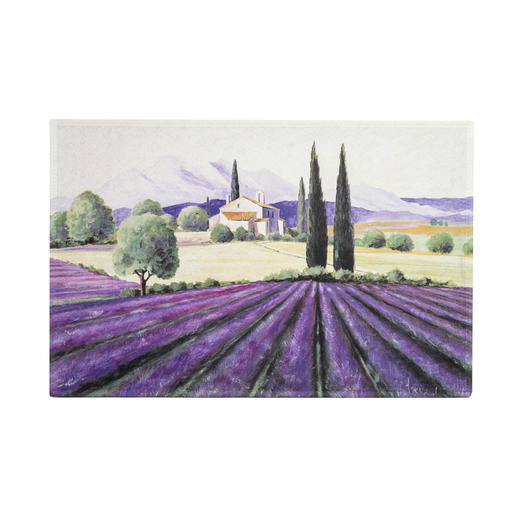 【AKZENTE Gallery】德国原产地毯脚垫门厅垫 普罗旺斯 商品图0