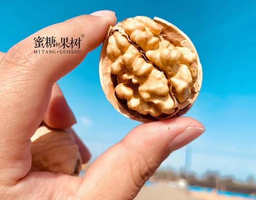 【2025年新一批】正宗的185核桃 【妙味核桃】果仁饱满 果壳极薄 营养丰富 果型圆润 商品图0