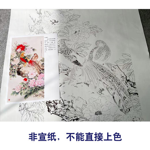 【有步骤】陈军工笔画白描底稿《依红理绣》锦鸡牡丹初学者临摹花鸟线稿CJ27 商品图2