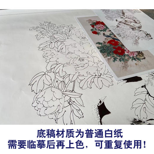 【有步骤】陈军四尺工笔画白描底稿《富贵吉祥》牡丹初学者临摹花鸟线稿CJ07 商品图3
