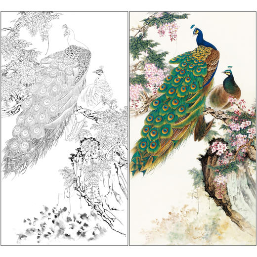 【有步骤】陈军四尺工笔画白描底稿《花开烂漫》孔雀初学者临摹花鸟线稿CJ32 商品图0