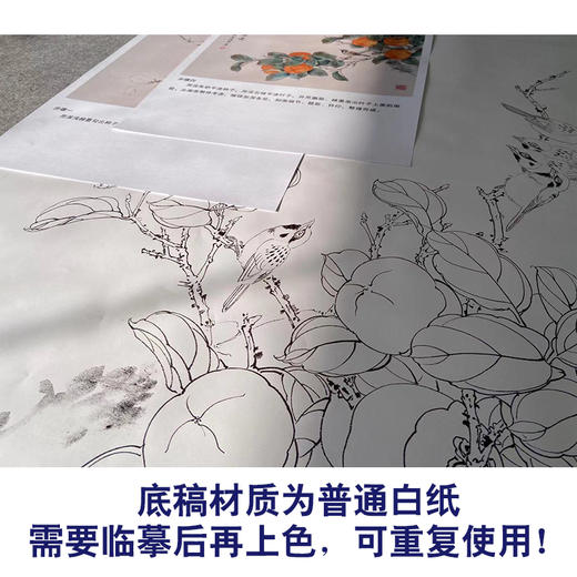 【有步骤】陈军工笔画白描底稿斗方小品《吉事连连》柿子麻雀初学者临摹花鸟线稿CJ17 商品图3