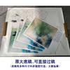 【有步骤】陈军工笔画白描底稿斗方小品《绿夏》荷花翠鸟初学者临摹花鸟线稿CJ04 商品缩略图1