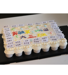 蛋糕定制—毕业蛋糕