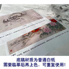 【有步骤】陈军四尺横幅工笔画白描底稿《红花锦羽》锦鸡牡丹初学者临摹花鸟线稿CJ22 商品缩略图3