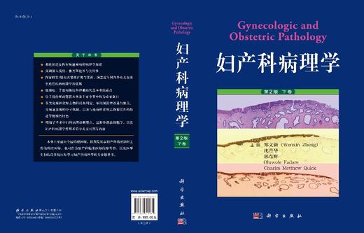 妇产科病理学：上、下卷/郑文新 商品图2