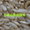 丨有机丨万来屯五常稻花香米10斤 大米 糙米 胚芽米 商品缩略图1