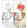 【有步骤】陈军工笔画白描底稿《锦上添花》山茶花水仙花锦鸡初学者临摹花鸟线稿CJ09 商品缩略图0