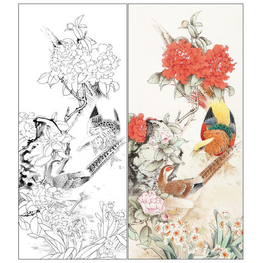 【有步骤】陈军工笔画白描底稿《锦上添花》山茶花水仙花锦鸡初学者临摹花鸟线稿CJ09 商品图0