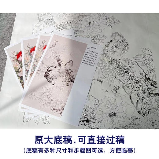 【有步骤】陈军工笔画白描底稿《依红理绣》锦鸡牡丹初学者临摹花鸟线稿CJ27 商品图1