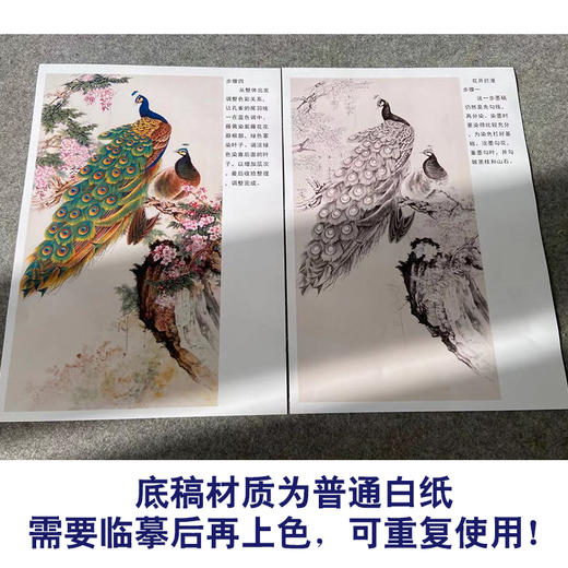 【有步骤】陈军四尺工笔画白描底稿《花开烂漫》孔雀初学者临摹花鸟线稿CJ32 商品图3