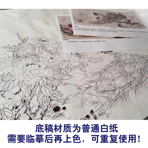 【有步骤】陈军横幅工笔画白描底稿《依红理绣》孔雀牡丹初学者临摹花鸟线稿CJ33 商品图3