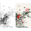 【有步骤】陈军工笔画白描底稿《群芳斗艳》牡丹蝴蝶初学者临摹花鸟线稿CJ13 商品缩略图0