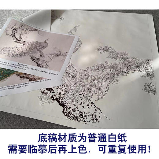 【有步骤】陈军横幅工笔画白描底稿《繁华翠羽春满园》孔雀海棠花初学者临摹花鸟线稿CJ37 商品图3