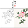 【有步骤】陈军工笔画白描底稿《春暖花开》牡丹初学者临摹花鸟线稿CJ10 商品缩略图0