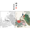 【有步骤】陈军工笔画白描底稿斗方小品《翠羽春华》孔雀牡丹初学者临摹花鸟线稿CJ36 商品缩略图0