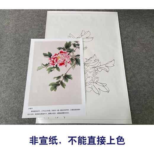 【有步骤】陈军工笔画白描底稿《春暖花开》牡丹初学者临摹花鸟线稿CJ10 商品图2