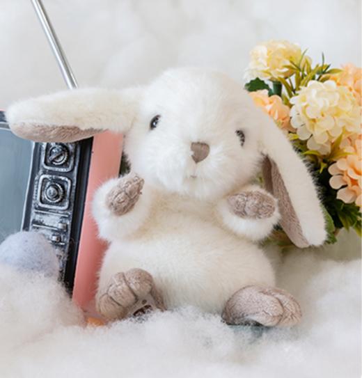 伽百利/Gabriel小兔子可爱毛绒玩具公仔安抚玩偶陪伴女孩节日礼物 商品图1