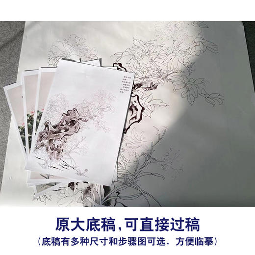 【有步骤】陈军工笔画白描底稿《群芳斗艳》牡丹蝴蝶初学者临摹花鸟线稿CJ13 商品图1