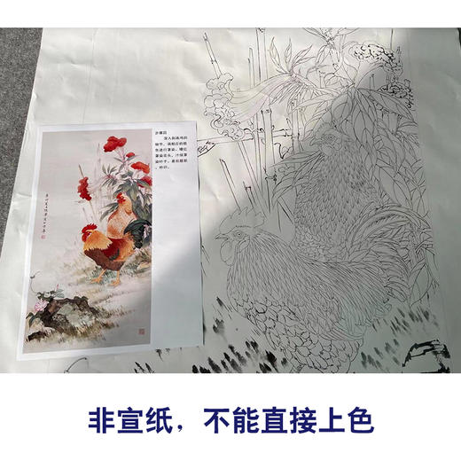 【有步骤】陈军工笔画白描底稿《冠上加冠》公鸡牵牛花初学者临摹花鸟线稿CJ21 商品图2