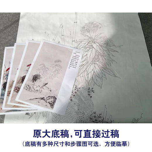 【有步骤、大彩图】陈军工笔画白描底稿《吉庆连年》公鸡鸡冠花初学者临摹花鸟线稿CJ23 商品图1