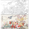 【有步骤】陈军横幅工笔画白描底稿《繁花似锦》蓝鹊杜鹃花初学者临摹花鸟线稿CJ16 商品缩略图0