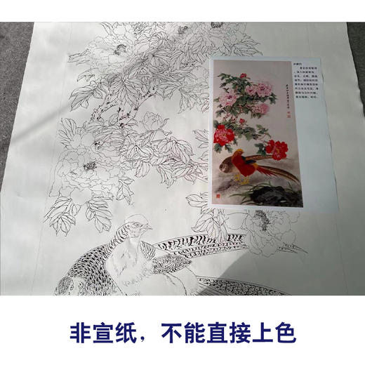 【有步骤】陈军工笔画白描底稿《锦上添花》锦鸡牡丹初学者临摹花鸟线稿CJ24 商品图2