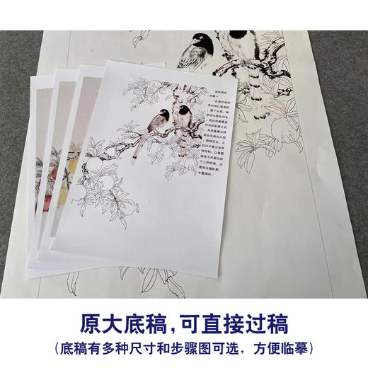 【有步骤】陈军工笔画白描底稿《金秋果实》石榴蓝鹊初学者临摹花鸟线稿CJ08 商品图1