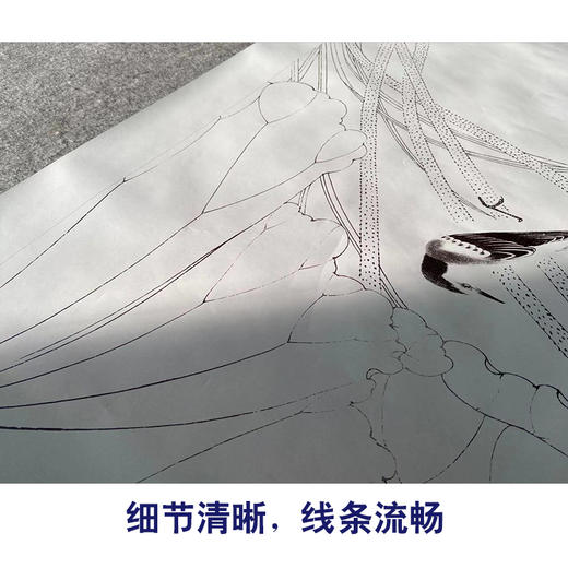 【有步骤】陈军四尺工笔画白描底稿《花间鸣唱》荷花鹡鸰鸟初学者临摹花鸟线稿CJ03 商品图4