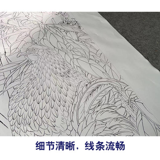 【有步骤】陈军工笔画白描底稿《冠上加冠》公鸡牵牛花初学者临摹花鸟线稿CJ21 商品图4