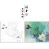 【有步骤】陈军工笔画白描底稿斗方小品《绿夏》荷花翠鸟初学者临摹花鸟线稿CJ04 商品缩略图0
