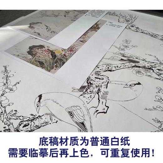 【有步骤】陈军工笔画白描底稿《繁花枝头闹春意》梅花黄鹂初学者临摹花鸟线稿CJ06 商品图3