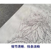 【有步骤、大彩图】陈军工笔画白描底稿《吉庆连年》公鸡鸡冠花初学者临摹花鸟线稿CJ23 商品缩略图4