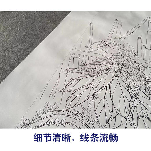 【有步骤、大彩图】陈军工笔画白描底稿《吉庆连年》公鸡鸡冠花初学者临摹花鸟线稿CJ23 商品图4