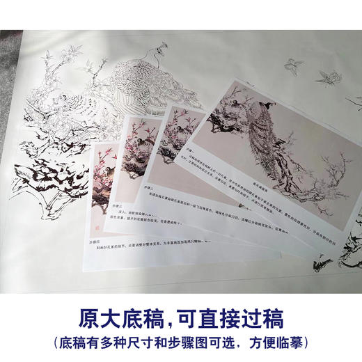 【有步骤】陈军横幅工笔画白描底稿《春风满庭香》桃花树孔雀初学者临摹花鸟线稿CJ30 商品图1