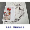 【有步骤】陈军工笔画白描底稿《锦上添花》山茶花水仙花锦鸡初学者临摹花鸟线稿CJ09 商品缩略图2