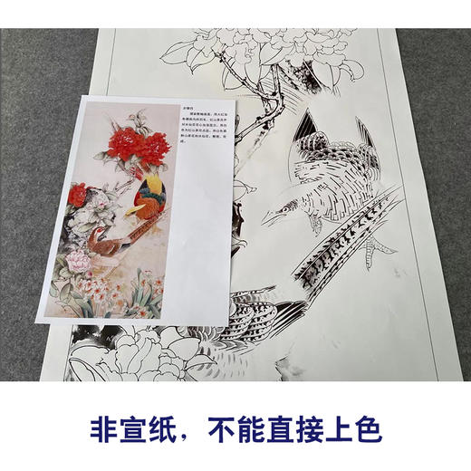 【有步骤】陈军工笔画白描底稿《锦上添花》山茶花水仙花锦鸡初学者临摹花鸟线稿CJ09 商品图2