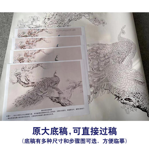 【有步骤】陈军横幅工笔画白描底稿《繁华翠羽春满园》孔雀海棠花初学者临摹花鸟线稿CJ37 商品图1