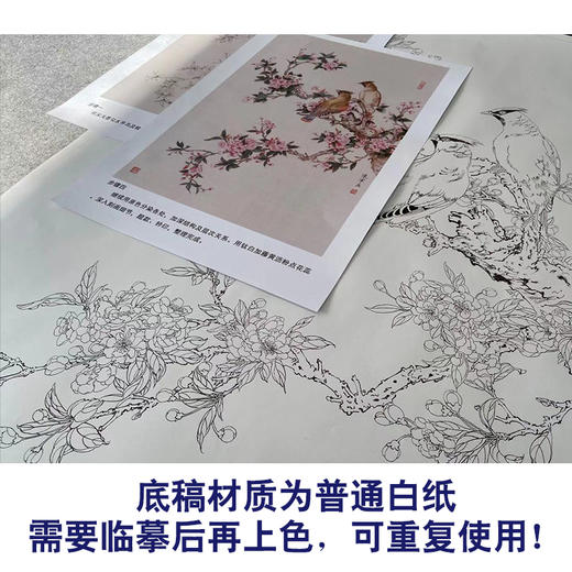 【有步骤】陈军工笔画白描底稿斗方小品《枝头春色》桃花太平鸟初学者临摹花鸟线稿CJ20 商品图3